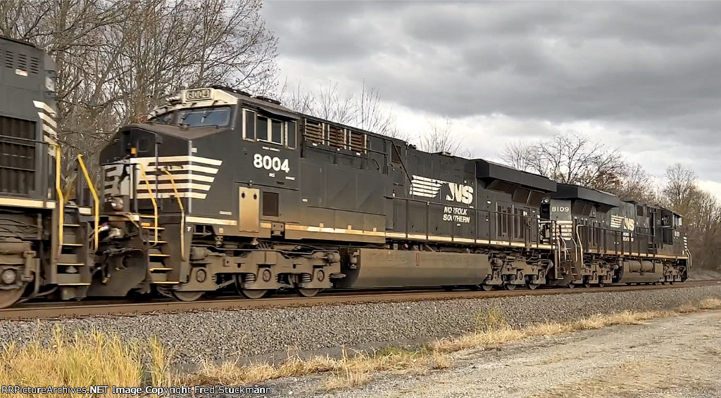 NS 8004